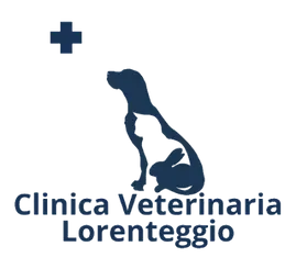 Clinica Veterinaria Lorenteggio